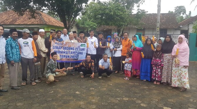 Perum Bulog Lampung Kembali Serap Jagung Petani