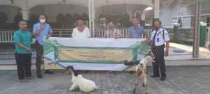 FIFGROUP Salurkan 537 Kurban Kambing dan 2 Sapi untuk Masyarakat