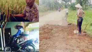 Aksi Ipda Larwono perbaiki jalan dan sosok sederhana sebagai petani disela bertugas sebagai anggota polri. Foto-foto Istimewa