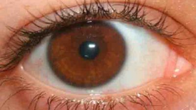 Lima Cara Meningkatkan Penglihatan pada Mata