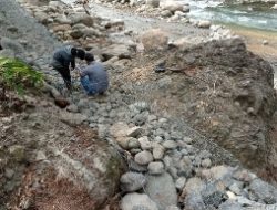 Soal Proyek Beronjong Way Melesom, Waket DPRD Pesisir Barat: Nilai Tender Fantastis Seharusnya Pekerjaan Bagus