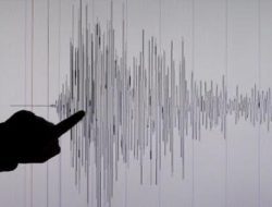 Gempa Magnitudo 7,9 Guncang Maluku, Sempat Ada Peringatan Tsunami
