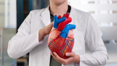 Viral Transplantasi Jantung Babi ke Manusia, Epidemiolog Sebut Bisa Timbulkan Wabah Baru