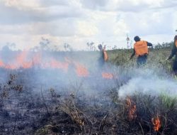 Tercatat 8.236 Titik Api di Tujuh Kabupaten di Sumsel