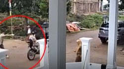 Motif Penembakan di OKI Sumsel yang Viral, Ternyata Gegara Tak Dipinjami Uang Lalu Dendam