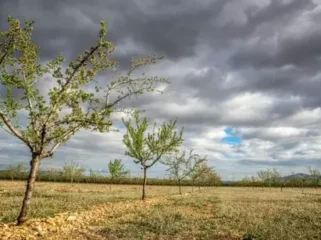 Ilustrasi cuaca. Foto dok 