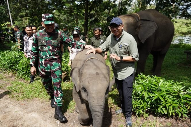
 Presiden Prabowo Siapkan Rp 839 Miliar untuk Way Kambas, Gubernur Lampung Sampaikan Apresiasi