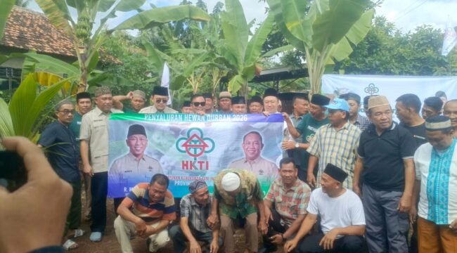 Foto dok