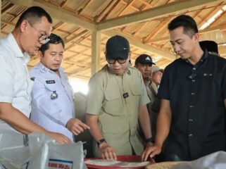 Gubernur Mirza saat meninjau percepatan hasil pertanian di Lampung Barat, beberapa waktu lalu. Foto dok