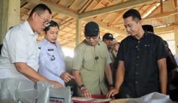 Gubernur Mirza saat meninjau percepatan hasil pertanian di Lampung Barat, beberapa waktu lalu. Foto dok