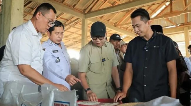 Gubernur Mirza saat meninjau percepatan hasil pertanian di Lampung Barat, beberapa waktu lalu. Foto dok