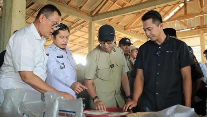 
 Gubernur Mirza saat meninjau percepatan hasil pertanian di Lampung Barat, beberapa waktu lalu. Foto dok
