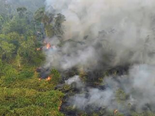 Kebakaran TN Way Kambas sepanjang 2026 tercatat 21 kejadian dengan luas sekitar 7.000 hektare. Dampak terhadap habitat satwa liar perlu terus dipantau.(DOK. TNWK )