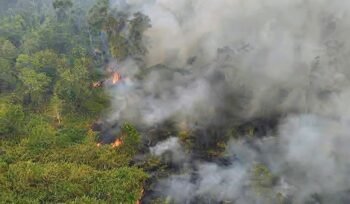 Kebakaran TN Way Kambas sepanjang 2026 tercatat 21 kejadian dengan luas sekitar 7.000 hektare. Dampak terhadap habitat satwa liar perlu terus dipantau.(DOK. TNWK )